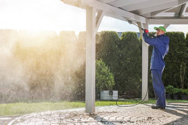 Best Solar Panel Cleaning  in Sterling Ranch, CO